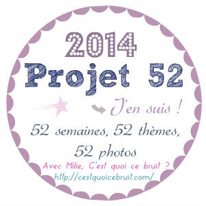 .: Projet 52 :. 2014