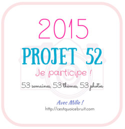 Projet52-2015-logo-cqcb