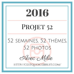 52 photos en 2016 #sem 1 à 5