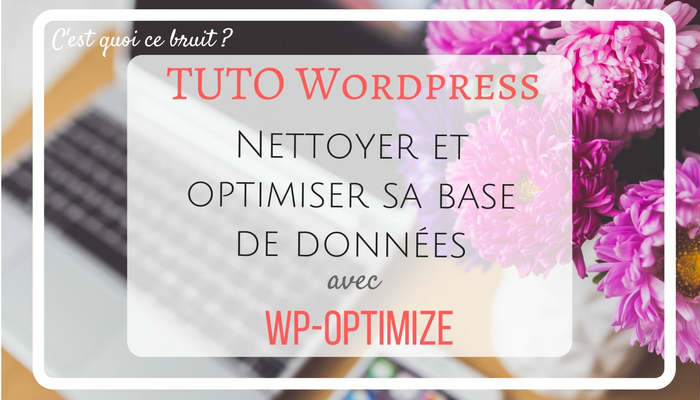 Optimiser sa base de données Wordpress avec WP-Optimize