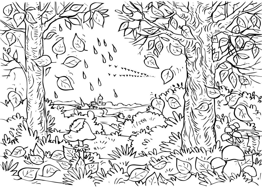 Paysage Dhiver Coloriage Nature Gratuit Sur Webjunior