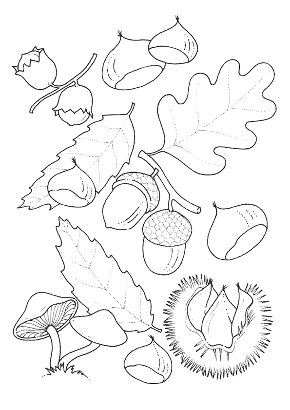 Coloriage feuille d'automne facile  Dessin à colorier & imprimer en PDF