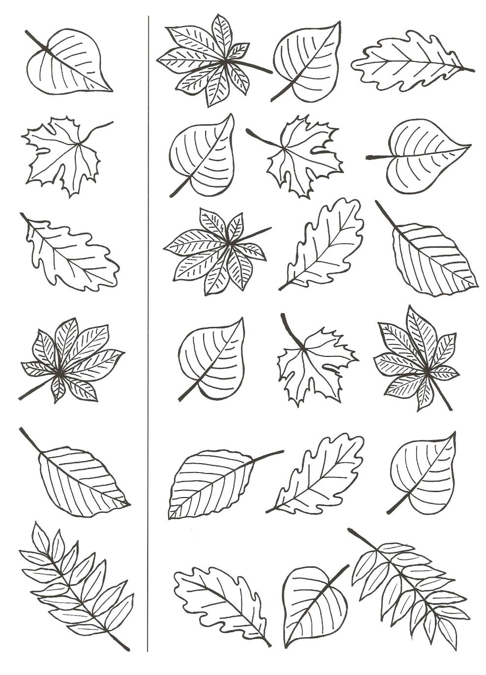 Coloriage Feuille de Platane en automne